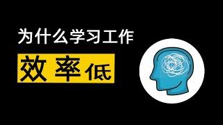 为什么学习工作效率低？如何提升？如何专注？效率提升脑科学 提升专注力 心流体验