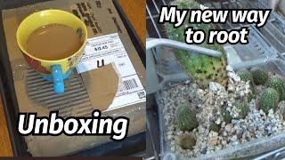 Unboxing + How I Root My Cuttings