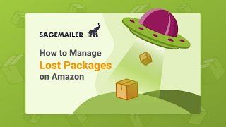 Amazon Packages Lost In Transit - What You Need To Do?