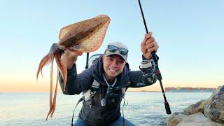 - CATCH and COOK - Land based SQUID Fishing 