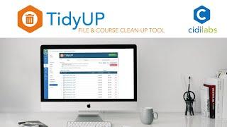 TidyUP: File and Page Cleanup Tools for Canvas Overview