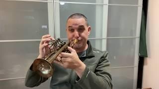 Jazz Piccolo Trumpet - Why Not??