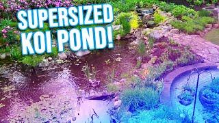 *SUPERSIZED KOI POND* in Massive Garden