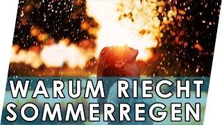 Warum riecht es nach Regen? | Geruch von Regen | Petrichor