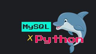 Create a MySQL Database Using Python | 2MinutePy