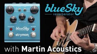 Strymon blueSky Reverberator with Martin Acoustics