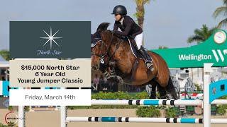 Watch the $15,000 North Star 6 Year Old Young Jumper Classic