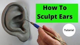 How to sculpt ears in clay. Tutorial.