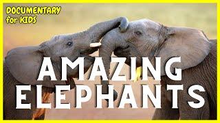 Elephant Documentary for KIDS | Learn about ELEPHANTS | Whiz Kids TV