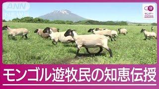 “希少肉”育てるモンゴル人羊飼いに密着！“万能の生物”衣食住すべてを支える羊【サンデーステーション】(2024年6月9日)