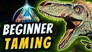 Ark Ascended: Beginner Taming Guide (includes New Taming Method)