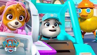 PAW Patrol Skye & Motor Rescue Robots in Adventure Bay! | Shimmer and Shine