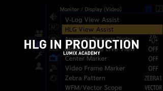 How to use HLG in Production?