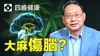 大麻對青少年大腦有什麼影響？楊醫生分析真實案例和大腦圖像。