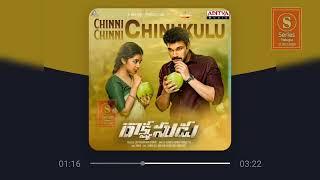 Chinni Chinni Chinukulu (From "Rakshasudu") | S Series Telugu |#sseriestelugu #rakshasudu