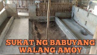 Mga sukat na dapat malaman bago magpagawa ng BABUYANG WALANG AMOY #babuyangwalangamoy #baboy #pig