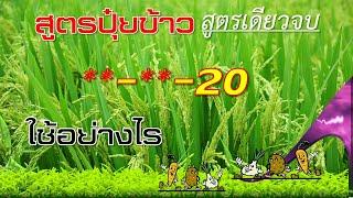 สูตรปุ๋ยสำหรับข้าว_(สูตรเดียวจบ)_สูตรไหนดี(ข้าว)