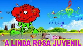 A LINDA ROSA JUVENIL #alindarosajuvenil / the beautiful youthful rose