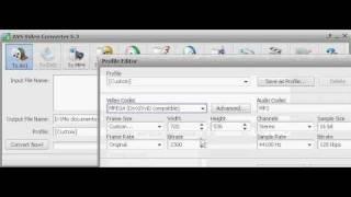 Como Usar Avs Video Converter