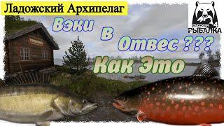 Russian Fishing 4, Ладожский Архипелаг - Вэки, Палия. Русская рыбалка 4 #рр4