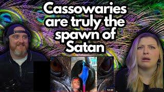 Cassowaries are truly the spawn of Satan @mndiaye_97 | HatGuy & @gnarlynikki React