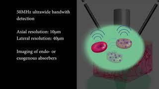 Raster-Scanning Optoacoustic Mesoscopy for Gastrointestinal Imaging at High Resolution, Video 1