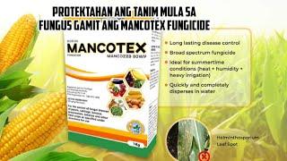 MANCOTEX PROTEKSYON LABAN SA FUNGUS!