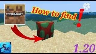 How to find sniffer egg in Minecraft trial  1.20 || sniffer in Minecraft trial