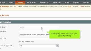 How to Manage Search Terms in Magento