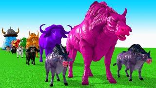 Paint Animals Cow Cartoon,Buffalo,Bull,yak,Ox,Fountain Crossing Animal Game