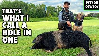 I Was Hired By A Local Golf Course To Take Out Monster Boar Hog