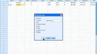 SPSS 19 Training : Keying Numeric and String Values