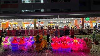 新加坡天山體育會 Tian Shan Big Flag , Dragon Dance & Lion Dance Performance at Maxim CoffeShope 1 June 2024