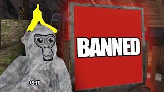 I Got Banned From Gorilla Tag VR (Not Alone)