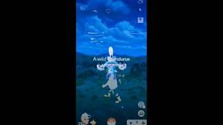 Thandurus a legendary Pokemon in Pokemon go pasuri mixed ed#edit #tanding#anime #pokemon #thundrus