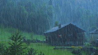 Rain Sounds for Sleeping - Sound of Heavy Rainstorm & Thunder in the Misty Forest At Night