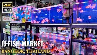 [BANGKOK] Chatuchak Fish Market "Largest Fish Market In Bangkok!" | Thailand [4K HDR]