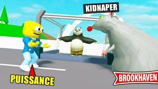 LE KUNG FU PANDA S'EST FAIT KIDNAPPER OMG (Brookhaven RP Roblox)