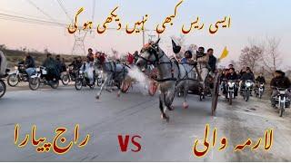 Raj Payara vs Larrama Wali Horse Race larnspur road 14km winner Raj payara All Pakistan Tanga horse