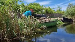 Discover the Wildlife of the Danube Delta from Romania !