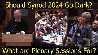 Should CRC Synod 2024 Go Dark? What is the Synod Plenary Session for?