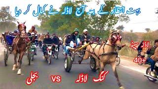 King Ladla vs Bijli Horse Race Win Ladla Horse Asad Ali Umar Farooq Adil Khan || SHOKEEN CHACH DE