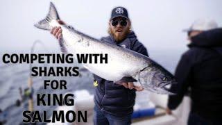 Catching West Coast Vancouver Island Salmon