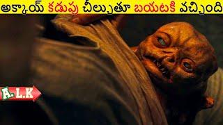 అక్కాయ్ కడుపు చీల్చుతూ ఇది బయటకి వచ్చింది || Movie Explained In Telugu || ALK Vibes