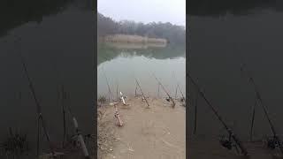 rama dam 2024new update  fi #fishing #beautiful point