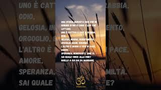 #zen #buddismo #buddha #serenità #benesserementale #equilibrio #motivazione