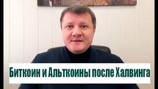 ЦЕНА БИТКОИНА ПОСЛЕ ХАЛВИНГА! АЛЬКОИНЫ ДАДУТ ДЕСЯТКИ ИКСОВ