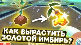 Slime Rancher. КАК ВЫРАСТИТЬ ЗОЛОТИСТЫЙ ИМБИРЬ?! +мод на погоду