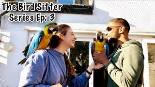 Our Parrots Reaction To Us Coming Home After 16 Days || The Bird Sitter Series - Ep: 3