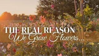 Why Plant A Cut Flower Garden?! Our Reason WHY We Grow Flowers